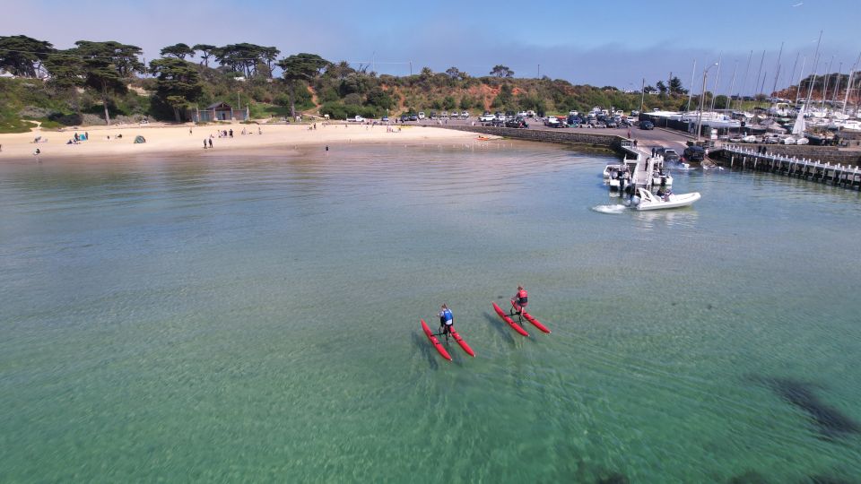 Mornington: Port Phillip Bay Water Bike Tour - Tour Highlights