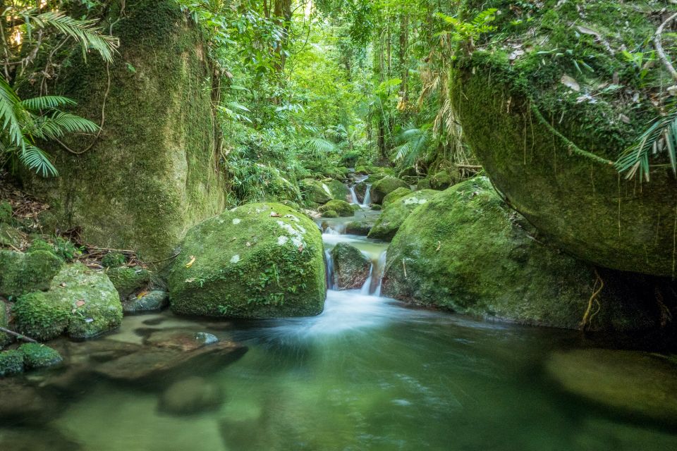 Mossman Gorge: Day Tour With River Drift Experience - Itinerary Highlights