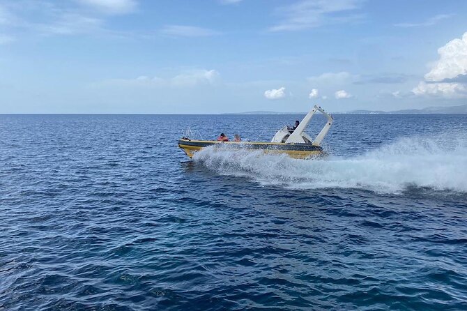 Motorboat Ride Through the Bay of Palma  - Mallorca - Inclusions