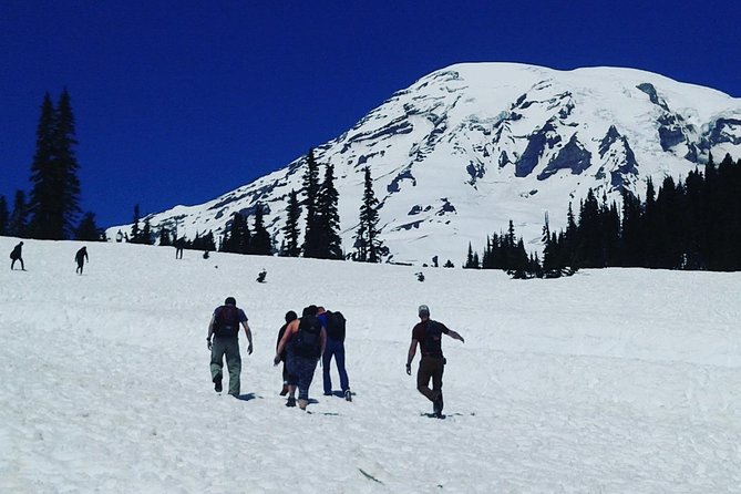 Mt Rainier Private Tour Experience in SUV - Booking Information