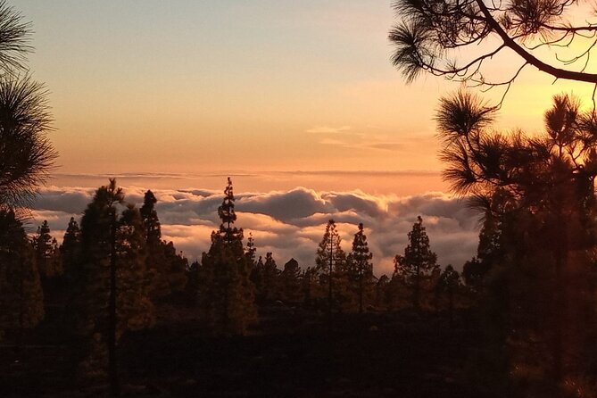 Mt Teide Volcano Night Guided Tour From Southern Tenerife - Tour Overview and Highlights