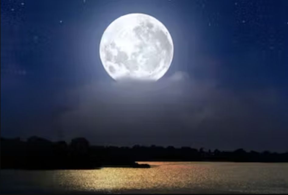 Murrells Inlet Beneath the Moonlight - Experience Highlights