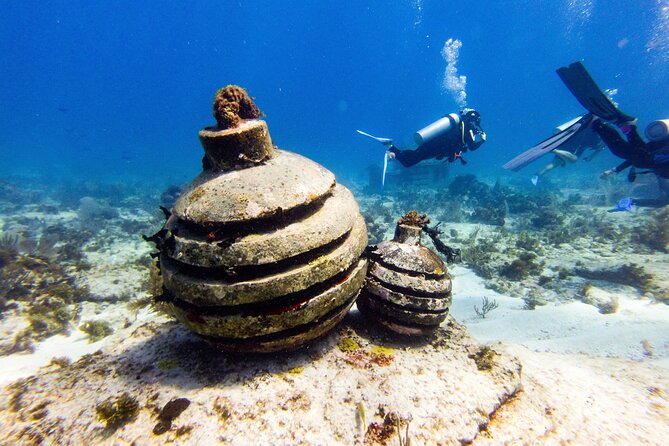 MUSA Museum and Colorful Reef 2 Tank Dive-Certified Divers - Inclusions Provided