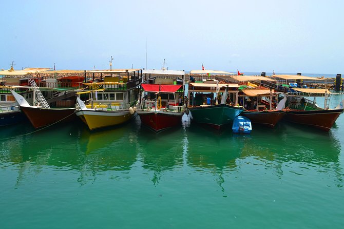 Musandam Full Day Sea Safari With Lunch From Dubai - Itinerary Details