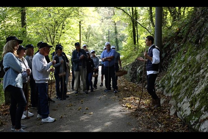 Mushroom And Truffle Hunting - Inclusions and Meeting Information