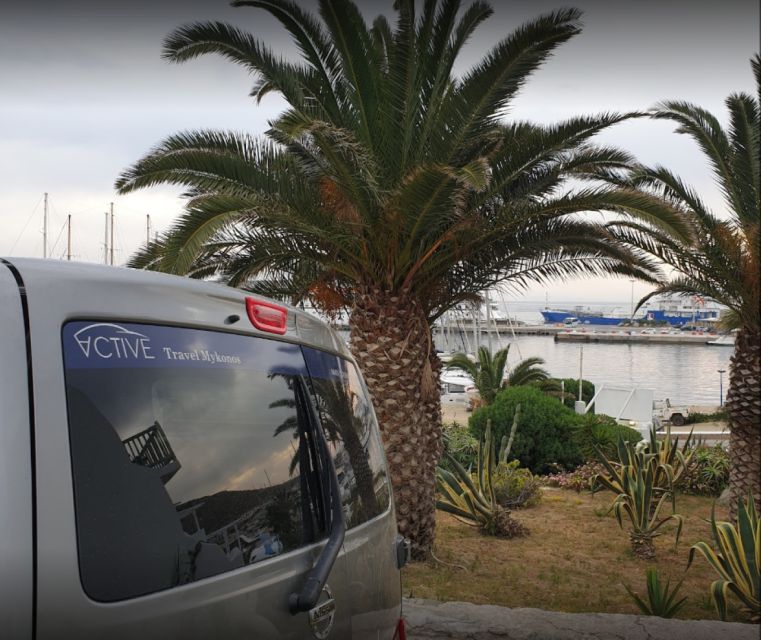 Mykonos Airport: Private Mykonos, Elia, or Kalafati Transfer - Booking Information