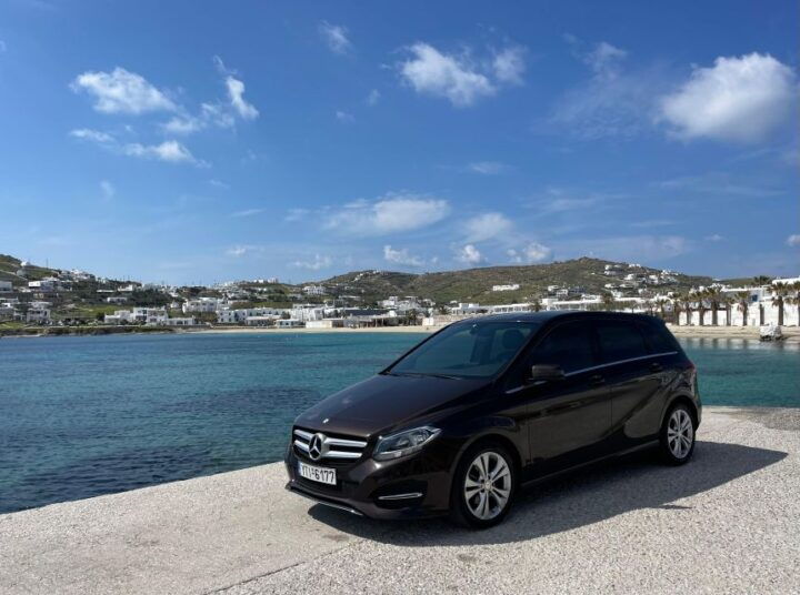 Mykonos in a Day: a 4-Hour Private Island Tour - Provider Information