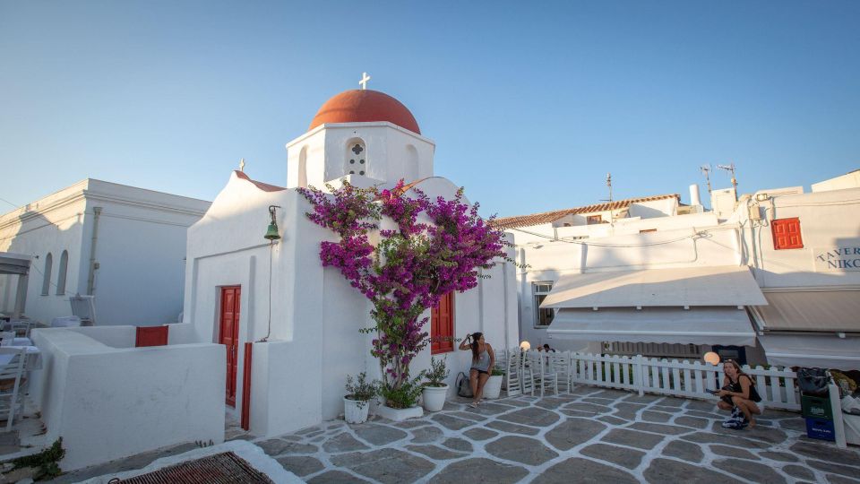 Mykonos Island Private Tour - Experience Highlights