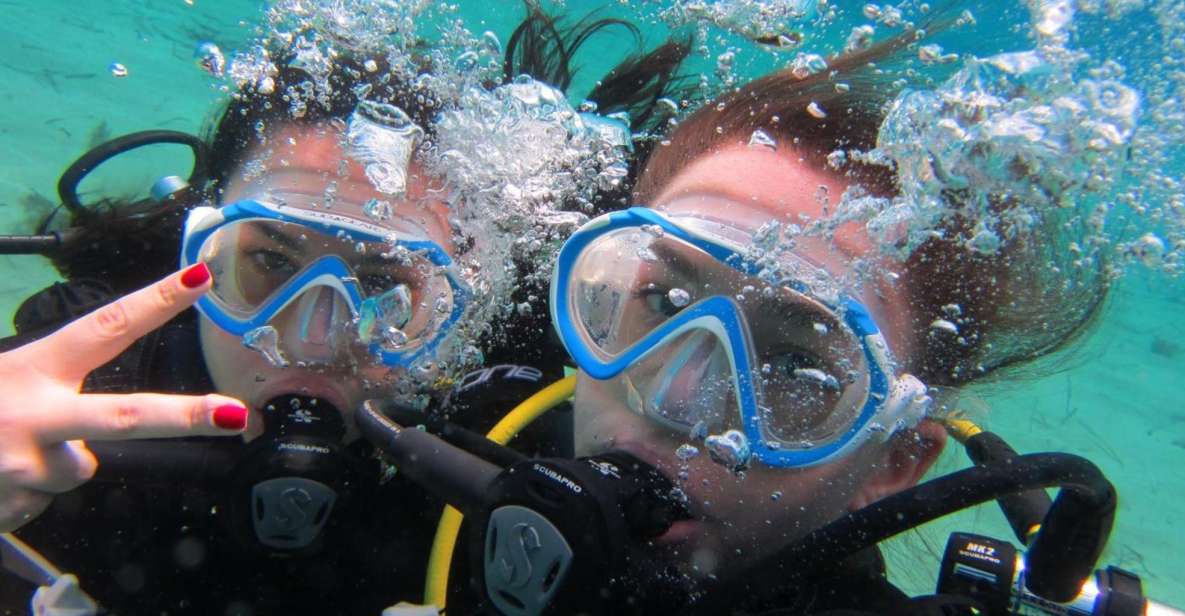 Mykonos: Scuba Diving Mini Program for Beginners - Activity Description