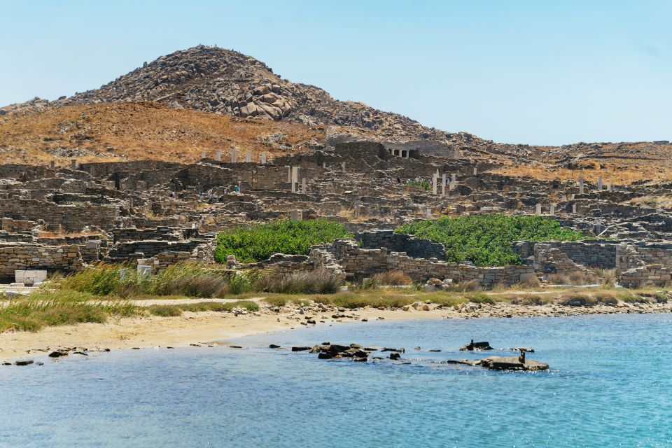 Mykonos Town: Archaeological Site of Delos Guided Day Trip - Experience & Activities