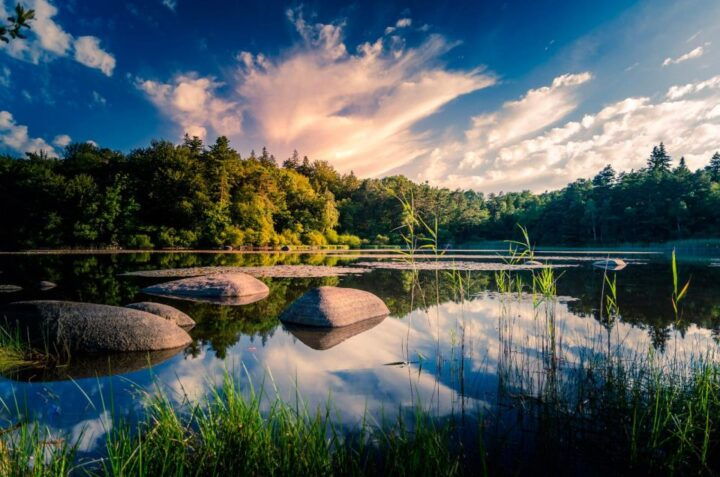 Mystical Exploration of the Rocks of Sidobre - Tarn (81) - Live Tour Guide and Cancellation Policy