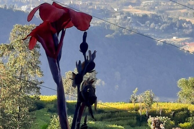 Nagarkot (2175m) Sunrise and Day Hike to Changunarayan Temple - Customer Support Information