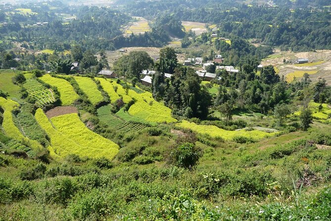 Nagarkot Chisapani Trek - Safety Tips