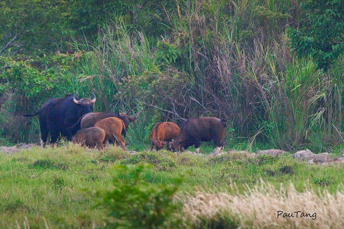 Nam Cat Tien National Park 2-Day Tour With Lodging, Meals.. - Lodging Details