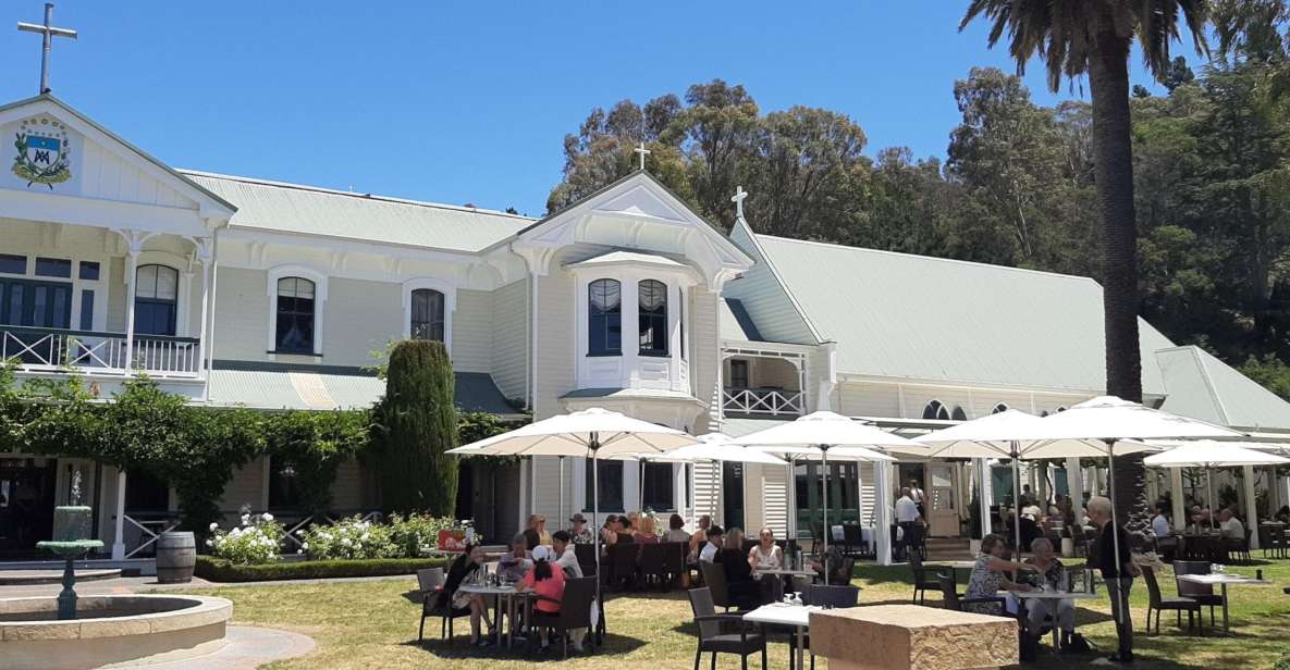 Napier: Afternoon Wine Gin Tasting Tour - Experience Highlights