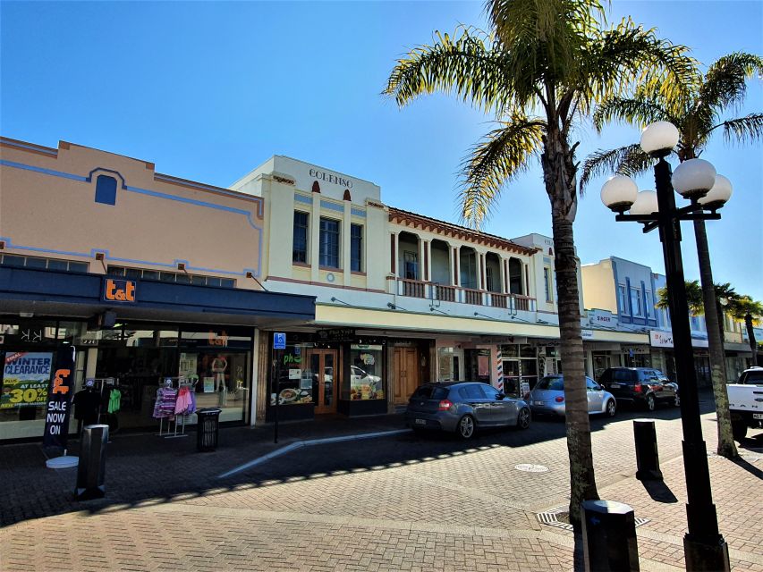 Napier: Best of Napier Small Group Tour - Tour Highlights