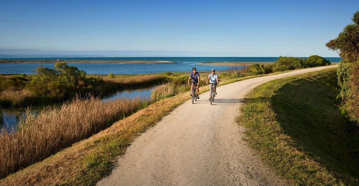 Napier: Cape Coast Winery Tour on Pedal or E-Bikes - Experience Details