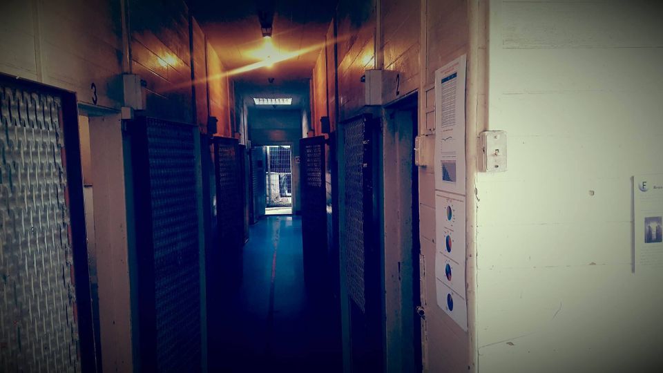 Napier Prison Self-Guided Audio Tour - Experience Highlights