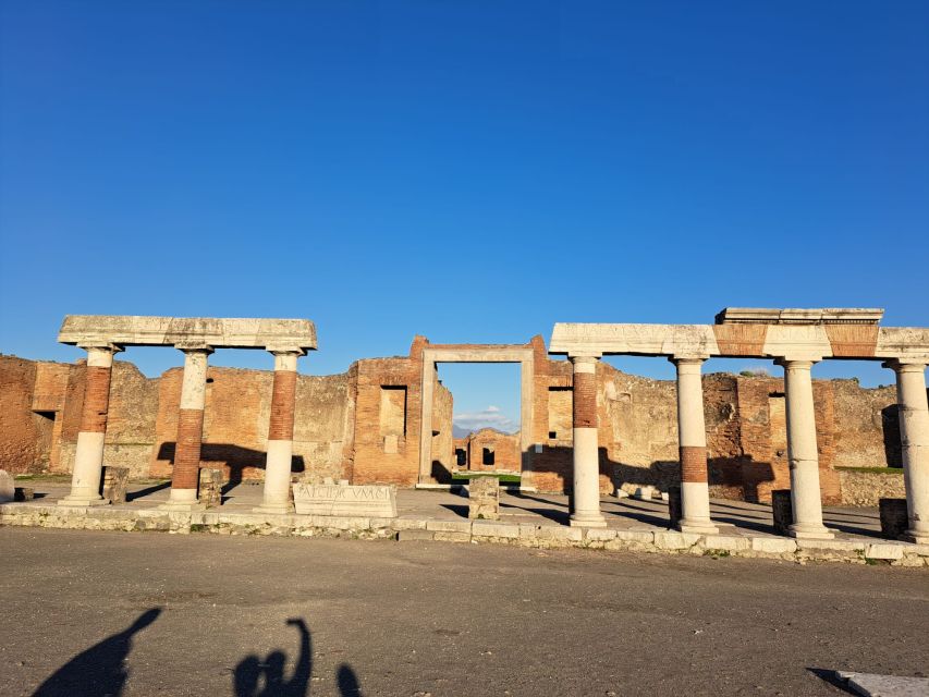 Naples: Day Trip to Pompeii & Vesuvius - Tour Highlights