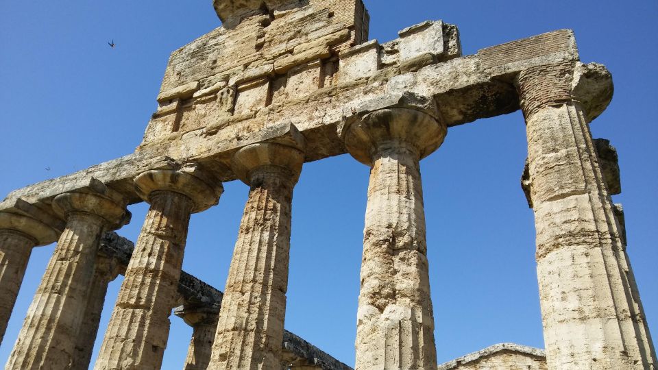 Naples: Go to Paestum by Car and Visit the Temples - Inclusions and Itinerary Details