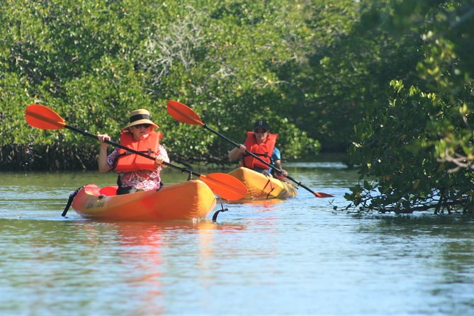 Naples Kayak Rentals at Cocohatchee River Park Marina - Expectations and Requirements