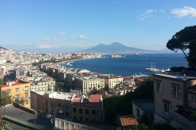 Naples, Pompeii and Sorrento Full Day Tour From Naples - Booking Information