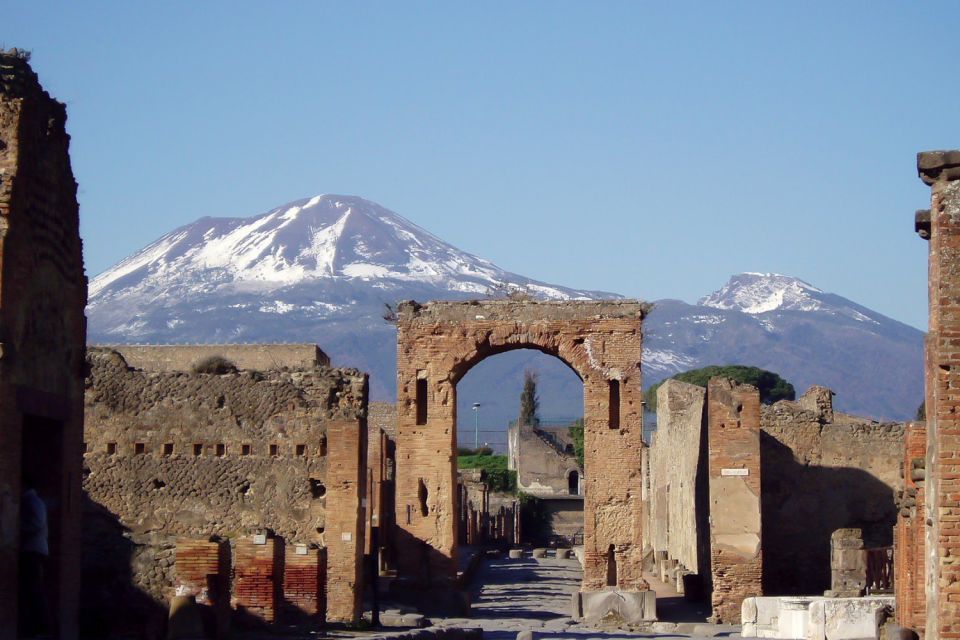 Naples: Pompeii, Herculaneum and Mt. Vesuvius Private Tour - Inclusions and Highlights
