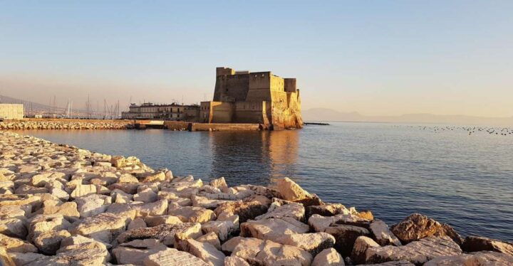 Naples: Wheelchair Accessible City Tour - Activity Description