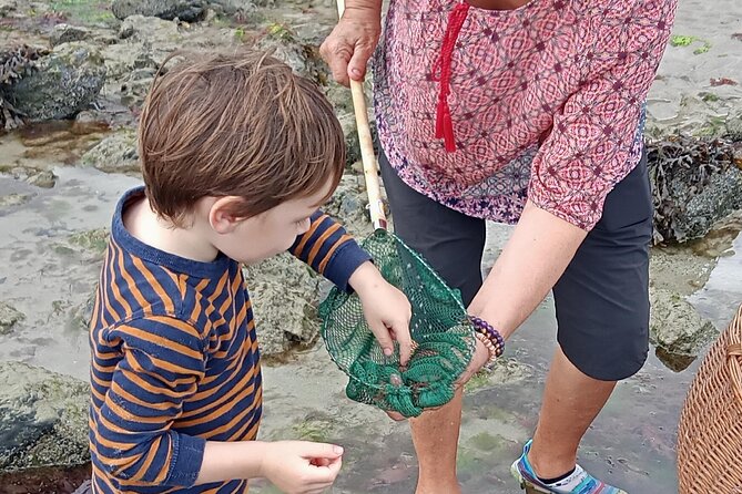 Nature Activity in the Bay of St Brieuc - Pricing and Booking Details