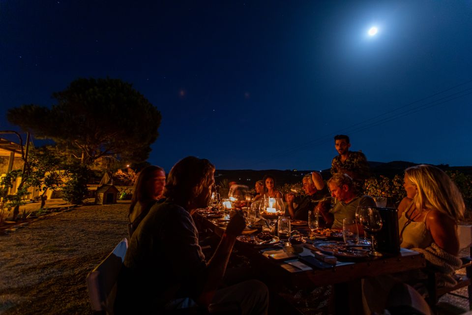 Naxos: Full Moon Dinner and Wine Tasting in a Vineyard - Experience Description