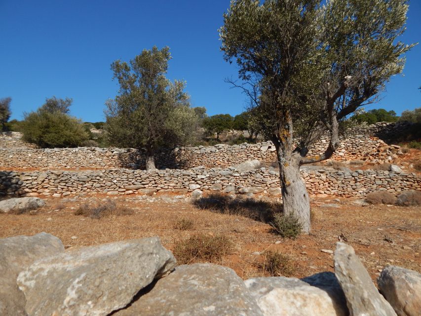 Naxos: Inland Hike Villages - Kouroi Statues, Apano Kastro - Scenic Highlights and Exploration