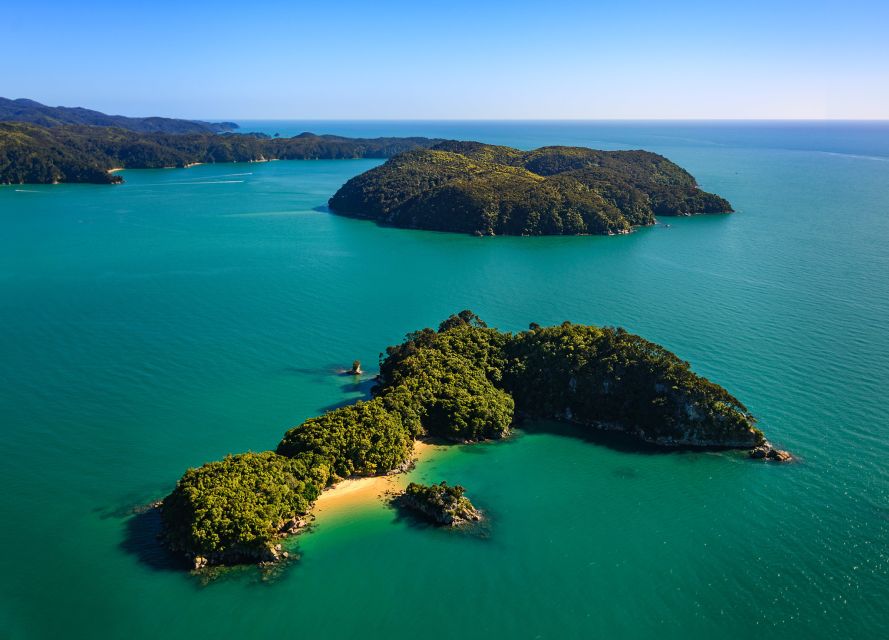 Nelson: Abel Tasman Cruise-Fly Day Tour - Experience Highlights