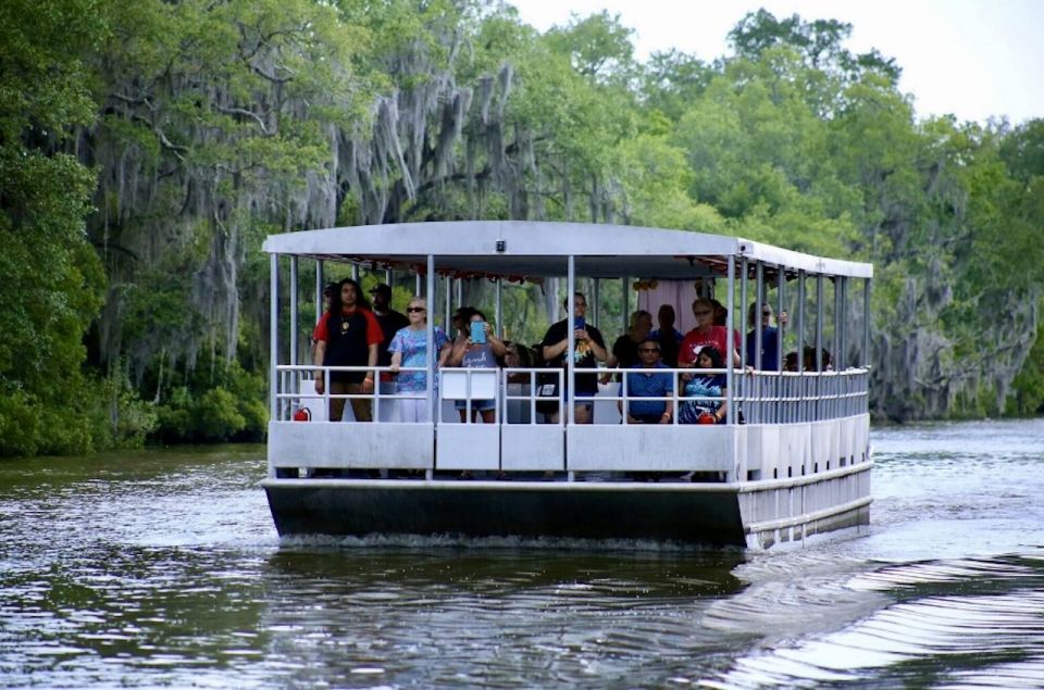 New Orleans: Swamp Tour on Covered Pontoon Boat - Experience Highlights