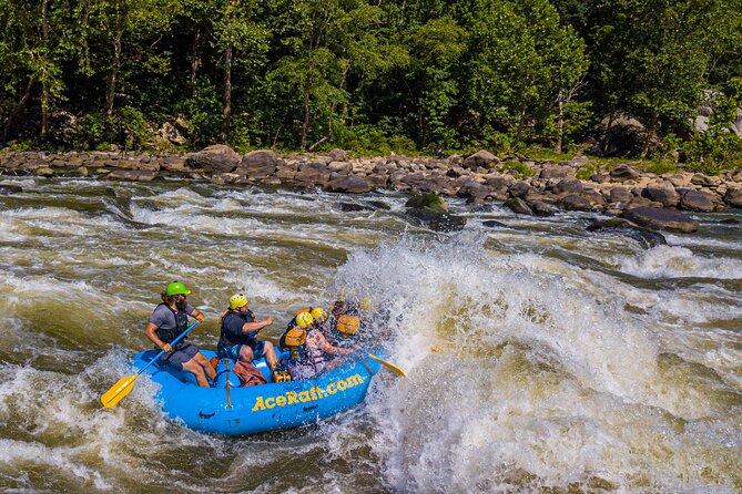 New River Gorge Whitewater Rafting, WV - Lower New Full Day - Safety Guidelines