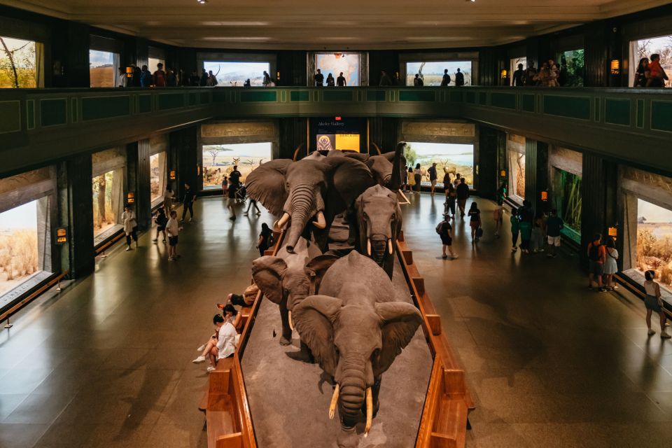 New York City: American Museum of Natural History Ticket - Important Information