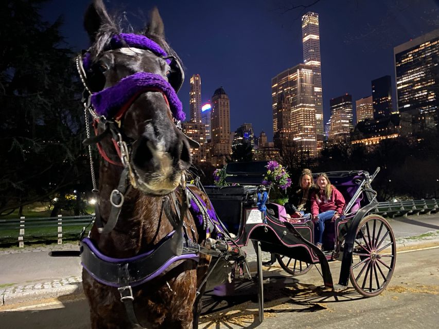 New York City: Private Horse Carriage Tour - Experience Highlights