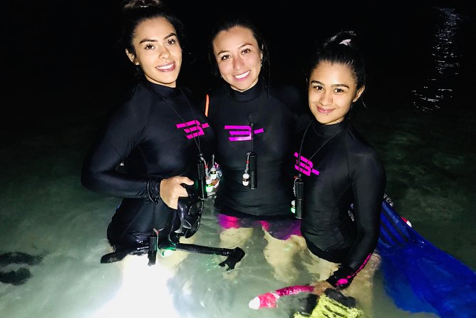 Night Snorkeling - Observation of Octopus and Other Species - Traveler Experience and Reviews