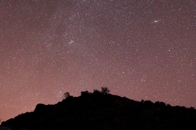 Night Visit to the Engravings of Foz CÔA in 4x4 Between DOURO and CÔA - Schedule and Booking Details