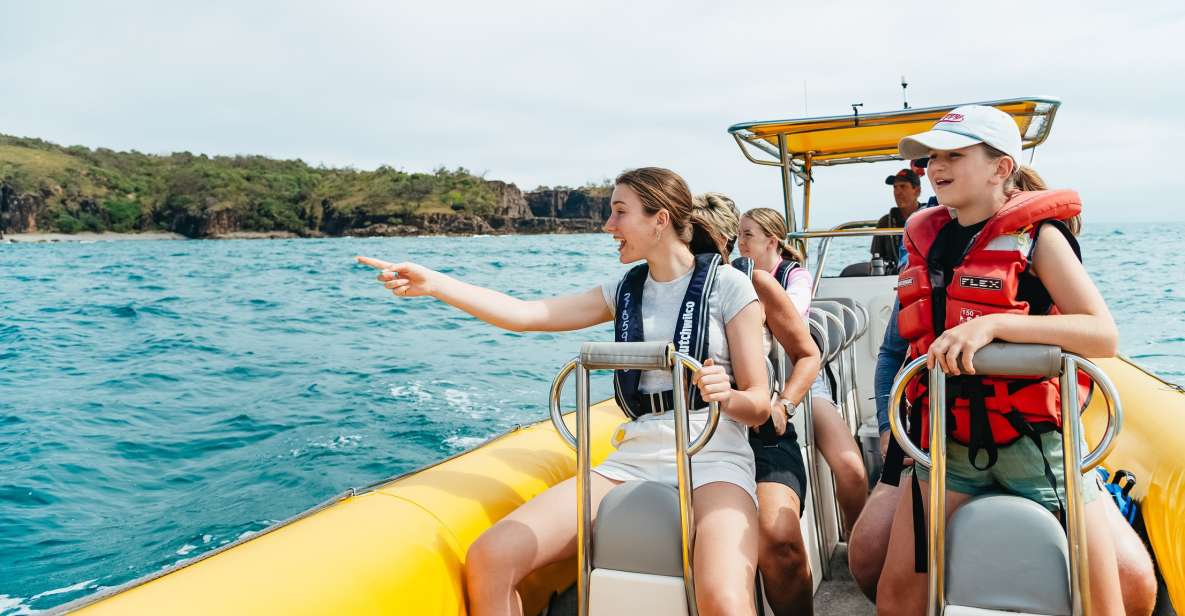 Noosa Heads: Ocean Rider Dolphin Safari - Pricing and Duration Details
