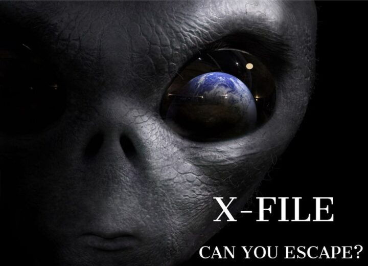 Northfield: X-Files Live Interactive Escape Room - Inclusions