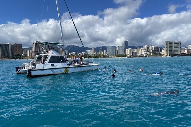 OAHU CATAMARANS Snorkel With Turtles in Waikiki Limited Capacity - Participant Requirements