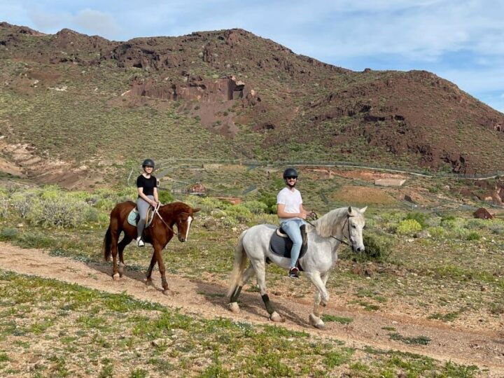 One Hour Horse Riding Tour in Gran Canaria - Experience Highlights