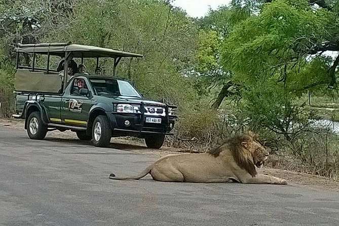 Open Vehical Safari in Kruger National Park Half Day - Inclusive Transportation Details