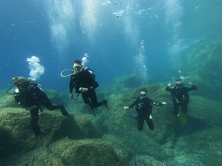 Open Water Diver 1st Level Course in Villasimius - Activity Description