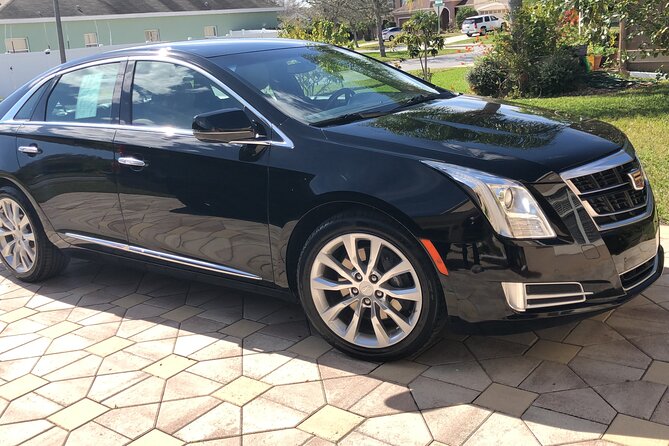 Orlando Airport MCO to Port Canaveral Luxury Sedan - Amenities Included in the Service