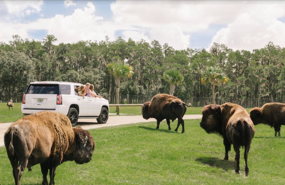 Orlando: Drive-Thru Safari Park at Wild Florida - Safari Park Experience