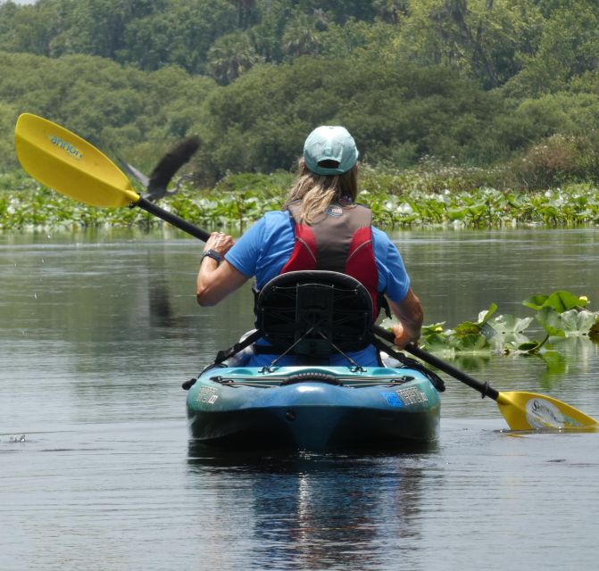 Orlando: Small Group Scenic Wekiva River Kayak Tour - Experience Highlights