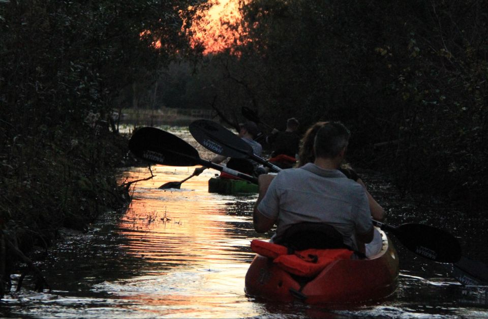 Orlando: Sunset Guided Kayaking Tour - Experience Highlights