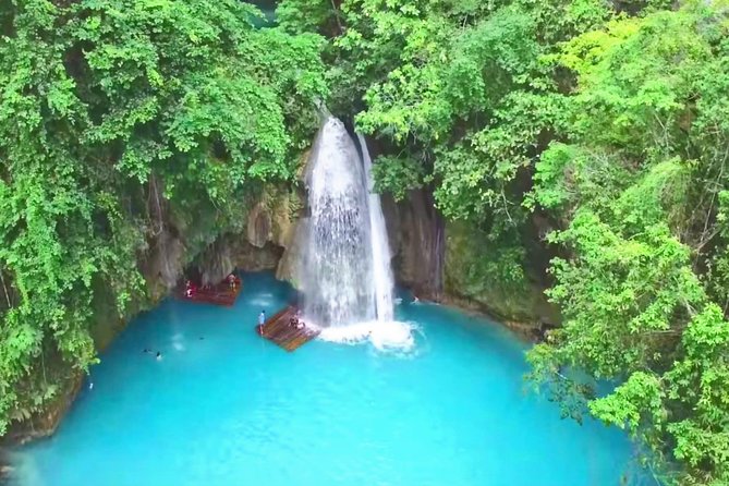 Oslob Whale Shark and Kawasan Falls Day Tour - Whale Shark Encounter