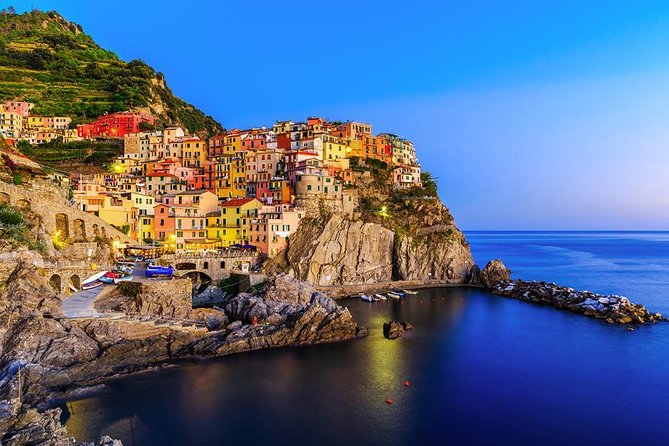 Other Towns: Private Tour Cinque Terre and Leaning Tower of Pisa - Language and Accessibility